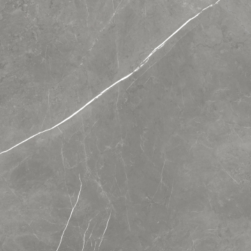 600010002407 Керамогранит Forte dei Marmi Elegant Grey Matt Rett 120x120 Atlas Concorde Russia