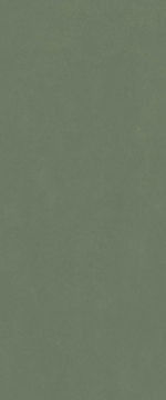 600010002445 Плитка Серфейс Форест Грин Рет 50x120 Italon