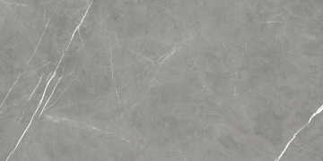 610010003173 Керамогранит Forte dei Marmi Elegant Grey Matt 60x120 Atlas Concorde Russia