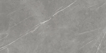 610015000665 Керамогранит Forte dei Marmi Elegant Grey Lapp 80x160 Atlas Concorde Russia
