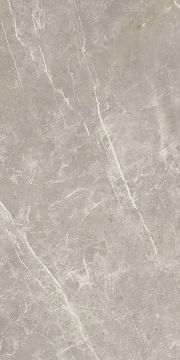 766528 Керамогранит Elemental Grey Dolomia Luc Ret 60x120 Cerim