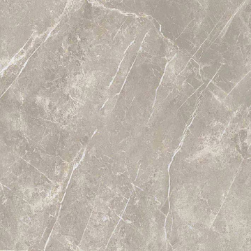 766956 Керамогранит Elemental Grey Dolomia Luc Ret 60x60 Cerim