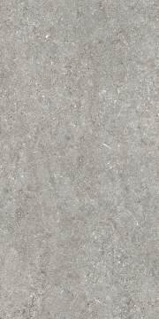 768621 Керамогранит Sensi Grey Fossil Nat Ret 6mm 60x120 Casa Dolce Casa