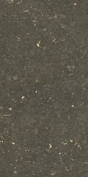 785503 Керамогранит Rinascenza Arena Platino Grip 30x60 Casa Dolce Casa