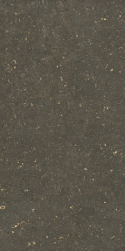 785511 Керамогранит Rinascenza Arena Platino Grip 20mm 60x120 Casa Dolce Casa