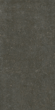 785585 Керамогранит Rinascenza Arena Platino Matte 6mm 120x240 Casa Dolce Casa