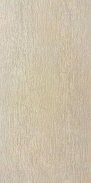 785975 Керамогранит Casual Life Champagne Split Wall 60x120 Cerim