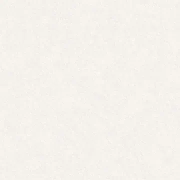 8080NVL00M Керамогранит Nevel White матовый граниль 800x800 LCM