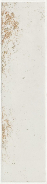 A040624 Плитка Magnetism White 6,3x25 CARMEN