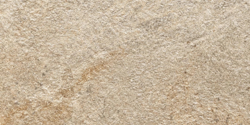 A5NE Керамогранит Norde Oro R10 30x60 Atlas Concorde