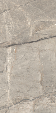 AGB2 Керамогранит Amazing Silver Matt 60x120 Caesar