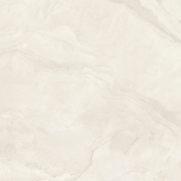 ARDESI6 60 RM Керамогранит 60x60 Imola Ceramica