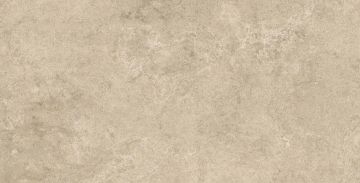 Atlas Concorde A3LW Керамогранит Lims Grey 20mm 60x120 Atlas Concorde