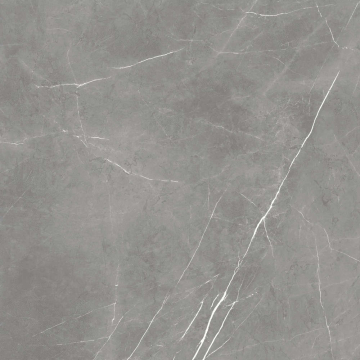 Atlas Concorde Russia 610010002724 Керамогранит Elegant Grey Lastra 20mm 60x60 Atlas Concorde Russia