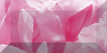 Бордюр рельефный Peony br1020D281-1 Плитка 20х10 Laparet