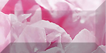 Бордюр рельефный Peony br1020D281-2 Плитка 20х10 Laparet