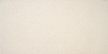 CAN5PHASODAA Керамогранит Phase Ivory MT Rect 59,5x120 STN Ceramica