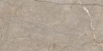 Cersanit Керамогранит 17124 Silver Roots серый матовый ректификат 60x120 Cersanit