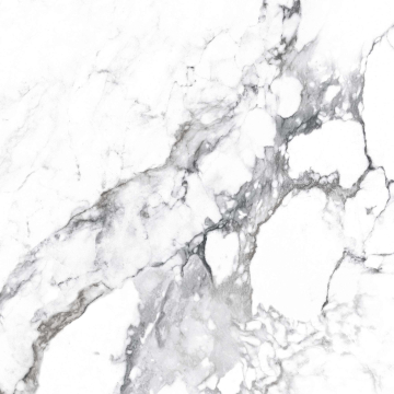 CR4006-A Керамогранит Borghini Silver Carving 60x60 Arcadia Ceramica