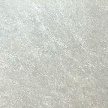 D6319 Керамогранит матовая 60x60 CSG