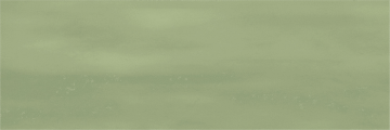 ENCLR6043MT722 Керамогранит Camelot Olive Matt 75х225х8 Ennface