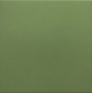 EQUIPE 30716 Керамогранит Rivoli Green 20x20 EQUIPE