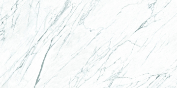 FPK01MQ011 Керамогранит LM STATUARIO ST 100X200 Roca Ceramica