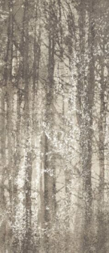 fQWO Керамогранит Ylico Wood Fog 120x278 FAP Ceramiche