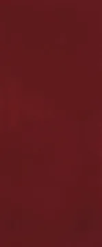 fTOI Плитка Materia Brillante Borgogna Brillante RT 50x120 FAP Ceramiche