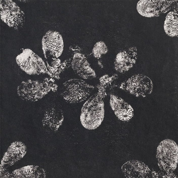 GAC25 Керамогранит Chymia Ophelia Black 30x30 Mutina