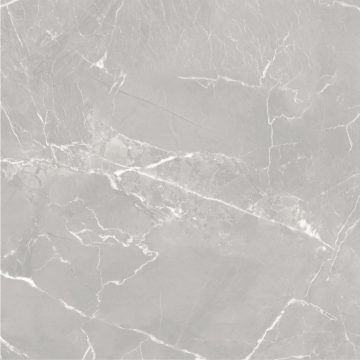GT606012401MR-3 Керамогранит Carolina Серый 60x60 Global Tile