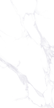 HOLST-13P\L12605 Керамогранит Холст полированный 1200x600x9 Vizavi