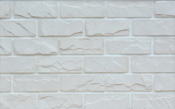 Искусственный камень Аспен 00 рядовая 250х90х20 Ecostone