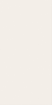 Italon 600010002159 Плитка White Mat 40x80 Italon