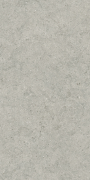 Italon 610010004168 Керамогранит Forum Stone Silver Ret 60x120 Italon