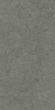 Italon 610010004169 Керамогранит Forum Stone Iron Ret 60x120 Italon