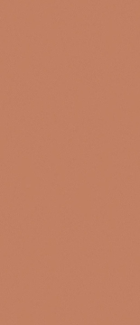 JS6021P Керамогранит Arcilla Red Matt 120x280 Janye Slab