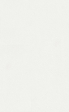 Kerama Marazzi 6304 Плитка Петергоф белый 25х40 Kerama Marazzi