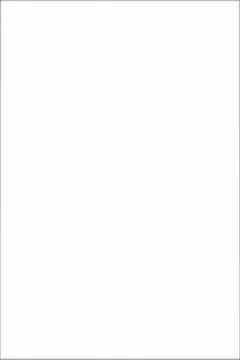 Kerama Marazzi 8063 Плитка Тигр (Аджанта) белый 20x30 Kerama Marazzi