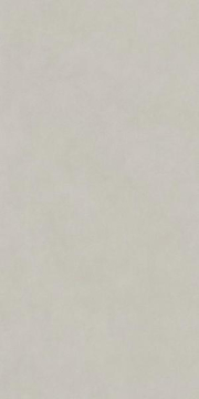 Kerama Marazzi DD590800R Керамогранит Про Чементо серый светлый матовый обрезной 119,5x238,5 Kerama Marazzi