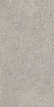 Kerama Marazzi SG519920R Керамогранит Риккарди серый светлый матовый обрезной 60х119,5 Kerama Marazzi