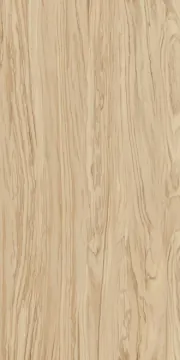 Kerama Marazzi SG565220R Керамогранит Олива бежевый обрезной 60*119.5 Kerama Marazzi