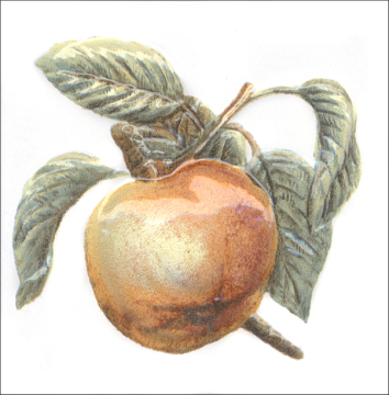 Kerama Marazzi TFA009 Плитка Оранжерея Яблоко 9.9*9.9 Kerama Marazzi