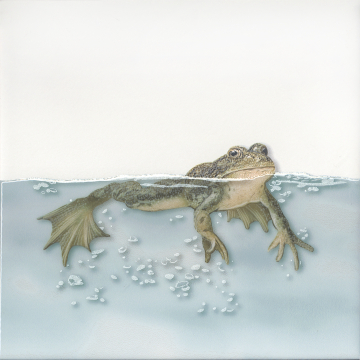 Kerama Marazzi VT/A472/5009 Плитка	Декор Чудо-озеро 5 20x20 Kerama Marazzi