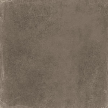 Керамогранит 0002909 WORN MUD ret 60x60 Ariana