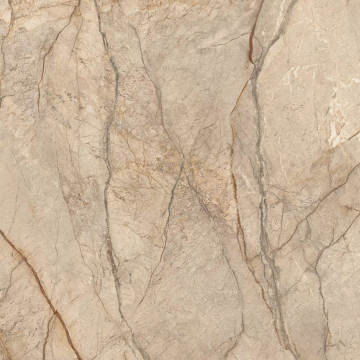 Керамогранит 0020835 Desert Storm Antique 3D 120x120 Versace (Gardenia Orchidea)