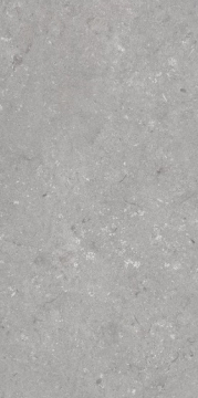 Керамогранит 005485 Shellstone Grigio 60x120 Dado Ceramica