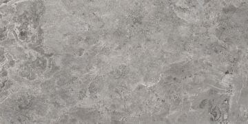 Керамогранит 050.869.0161.00714 Es.Erding Grey Luxglass 60x120 Pamesa