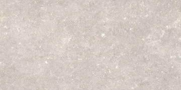 Керамогранит 096.022.0408.00206 Dover Greige MT Rect 60x120 Pamesa