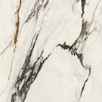 Керамогранит 100331132 Xlight Paonazzo Biondo Polished 120x120 Porcelanosa